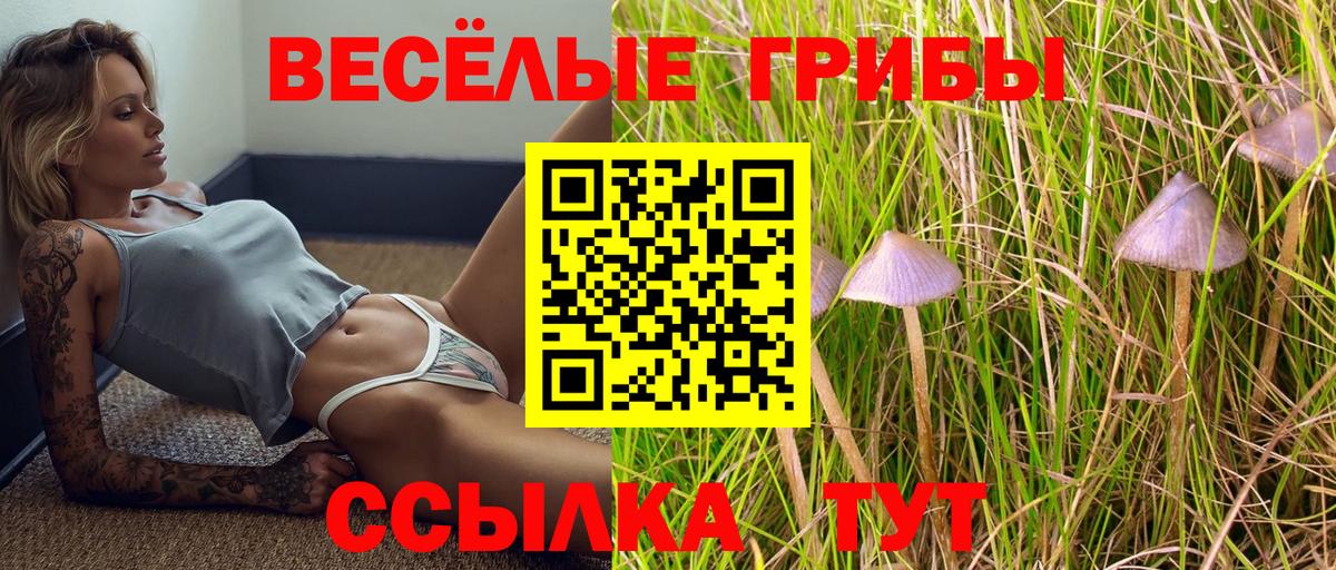 Галлюциногенные грибы Magic Shrooms Реутов