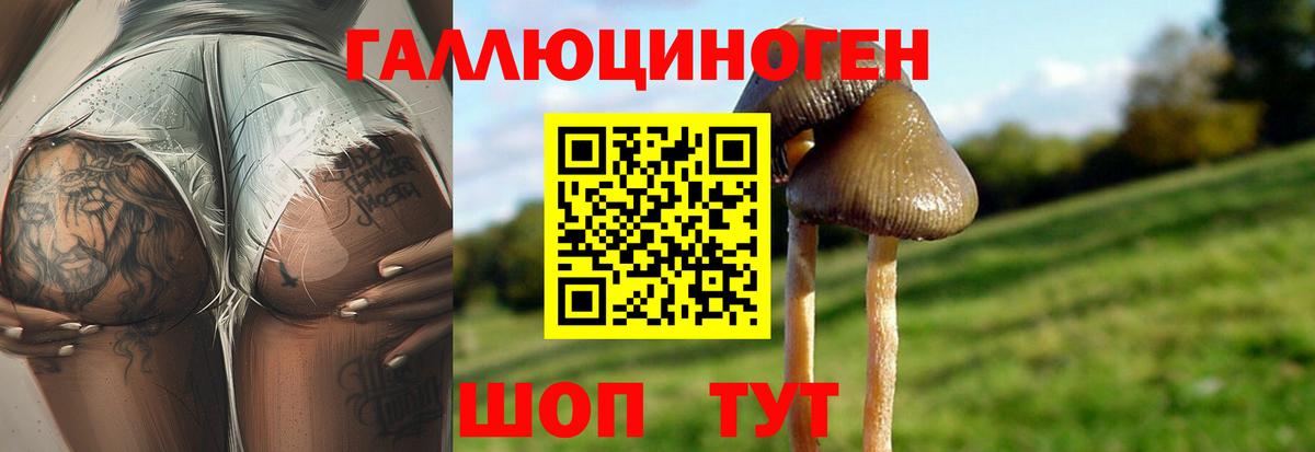 Галлюциногенные грибы мицелий  Вход с VPN  Реутов 